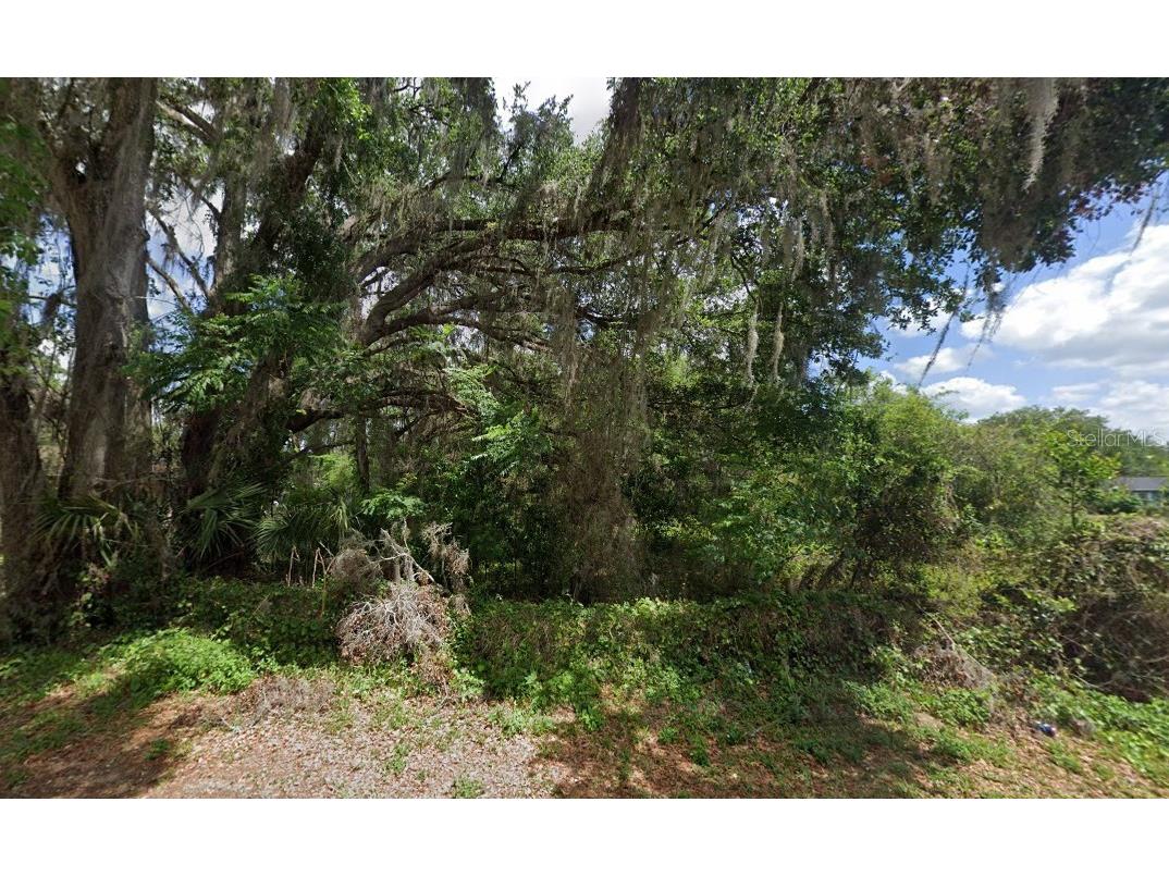 NW 2nd Webster FL 33597 D6147678 image4