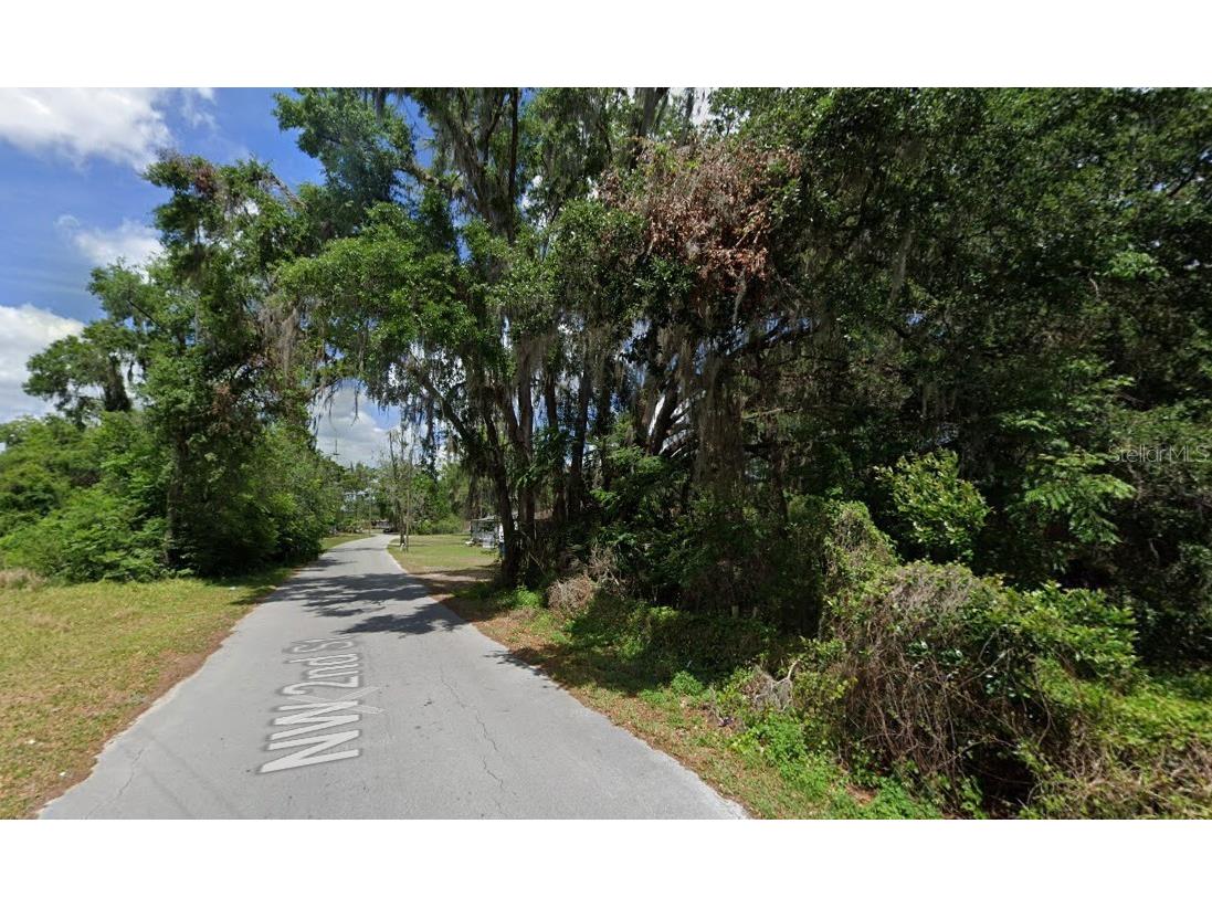 NW 2nd Webster FL 33597 D6147678 image5