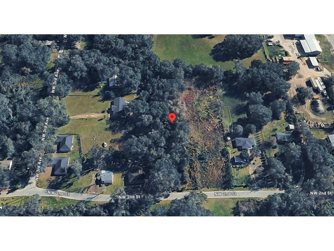 NW 2nd Webster FL 33597 D6147678 image7