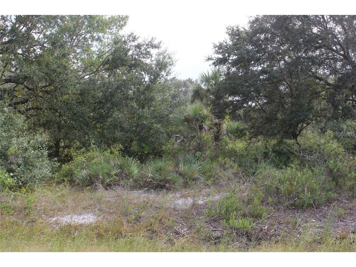 NW 304th Street #LOT C Okeechobee FL 34972 G5090061 image1