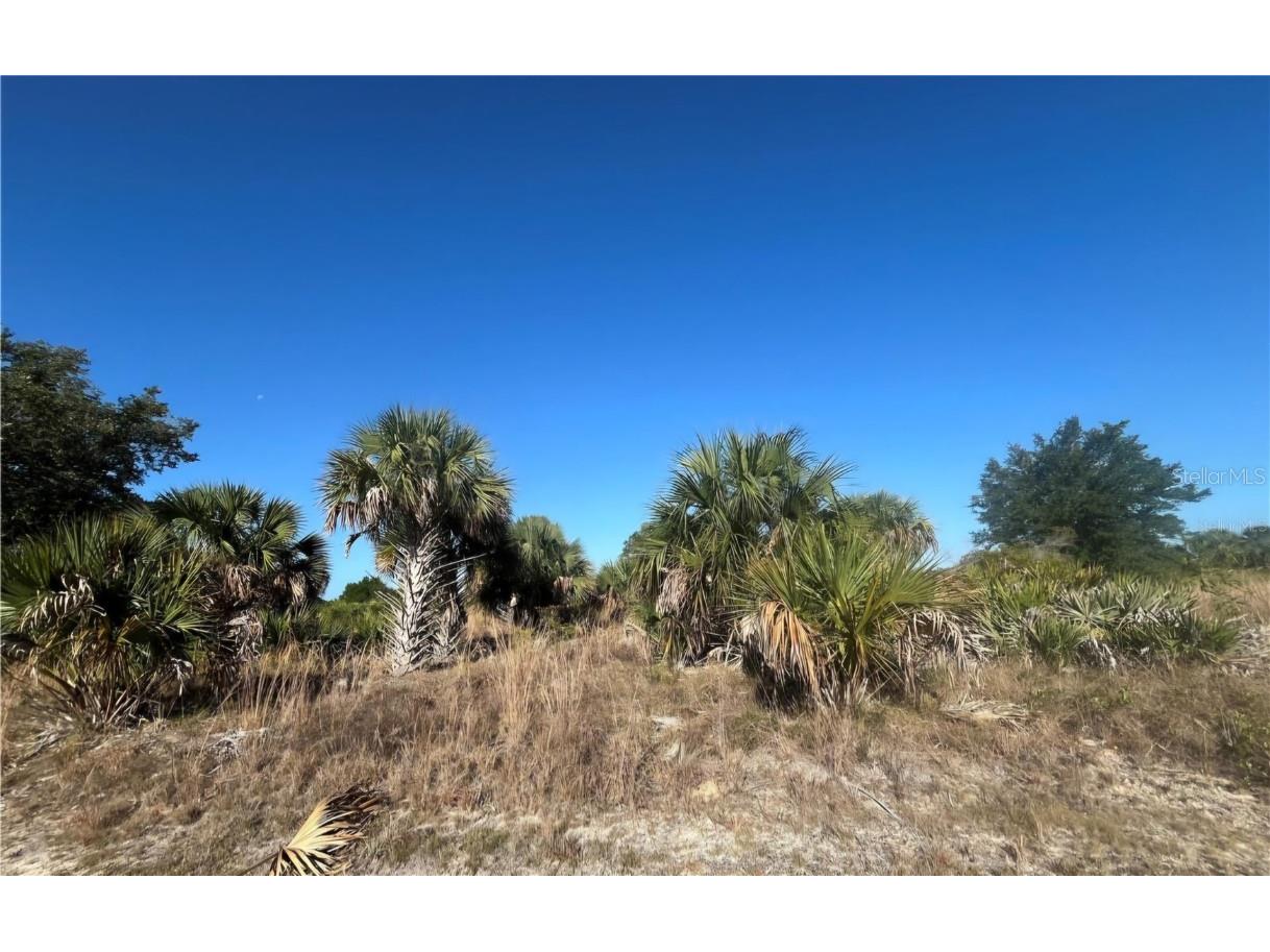 NW 304th Street #LOT C Okeechobee FL 34972 G5090061 image12