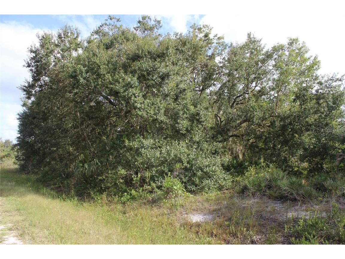 NW 304th Street #LOT C Okeechobee FL 34972 G5090061 image4