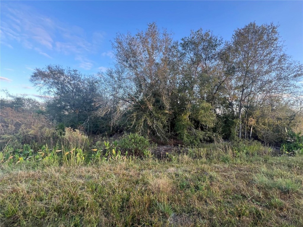 NW 304th Street #LOT C Okeechobee FL 34972 G5090061 image6