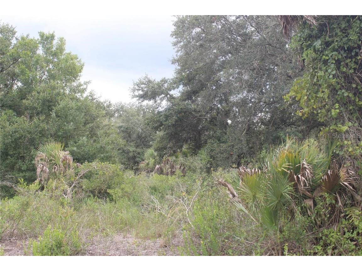 NW 306th Street #LOT E Okeechobee FL 34972 G5090059 image9