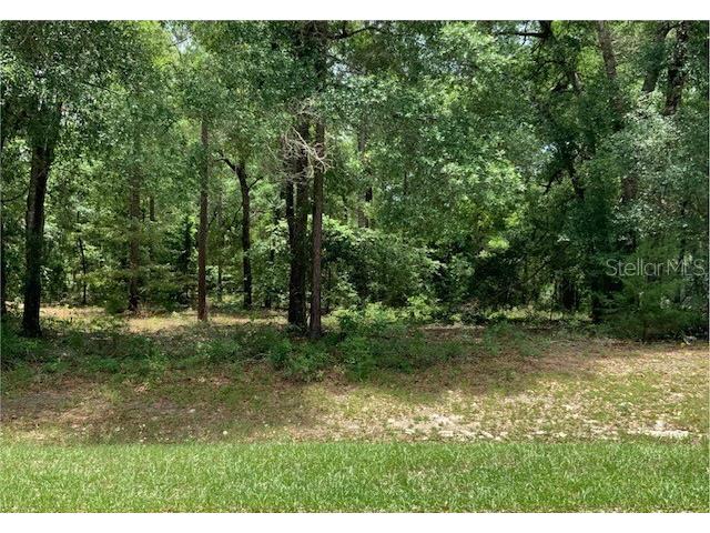 NW 30th Avenue Newberry FL 32669 GC515598 image1