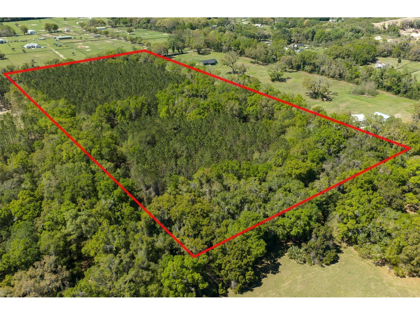 NW 30th Avenue Ocala FL 34475 OM722609 image2