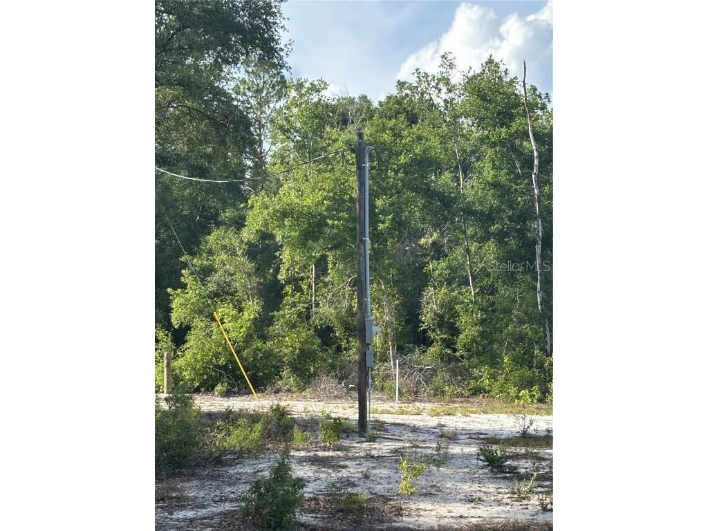 NW 30th Street Bell FL 32619 OM703444 image1