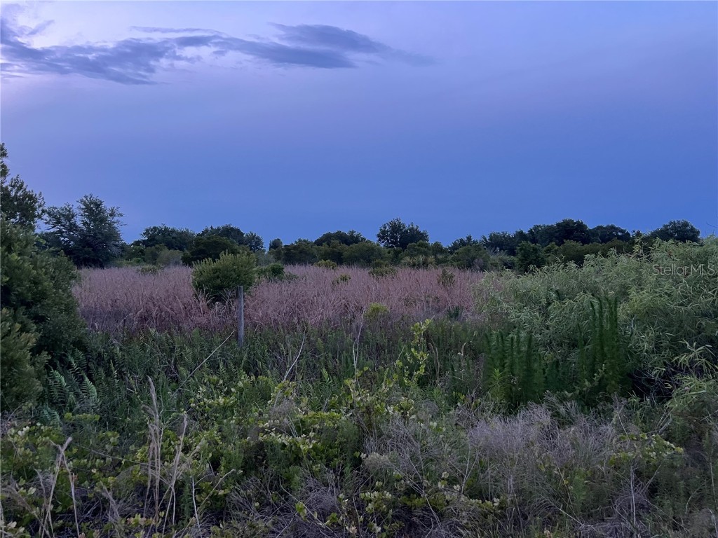 NW 318th Street Okeechobee FL 34972 OK225179 image1