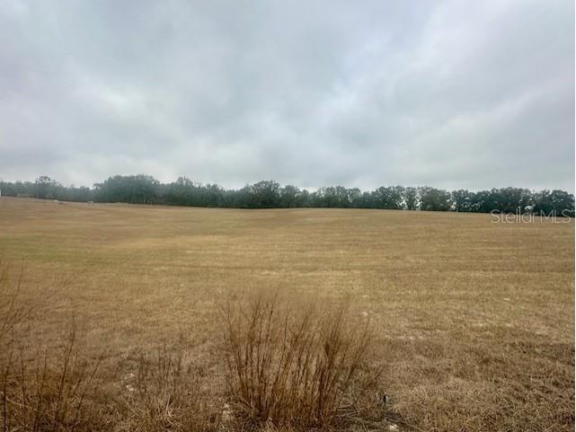 NW 31st Street Bell FL 32619 GC537755 image1