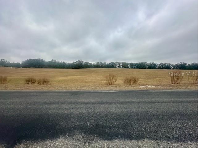 NW 31st Street Bell FL 32619 GC537755 image6