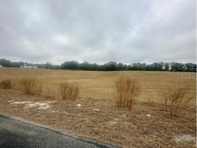 NW 31st Street Bell FL 32619 GC537755 image8