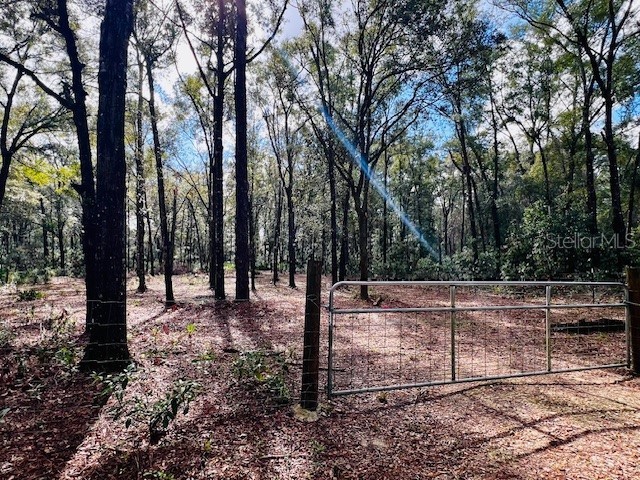 NW 36th Lane Bell FL 32619 GC519079 image1