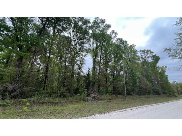 NW 37 Court Branford FL 32008 GC539035 image4