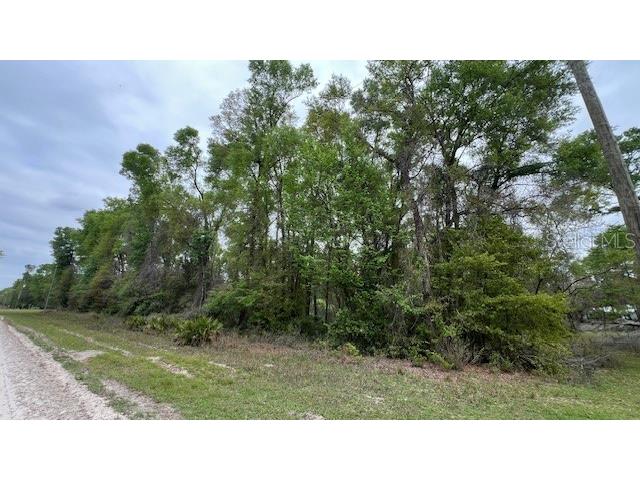 NW 37 Court Branford FL 32008 GC539035 image6