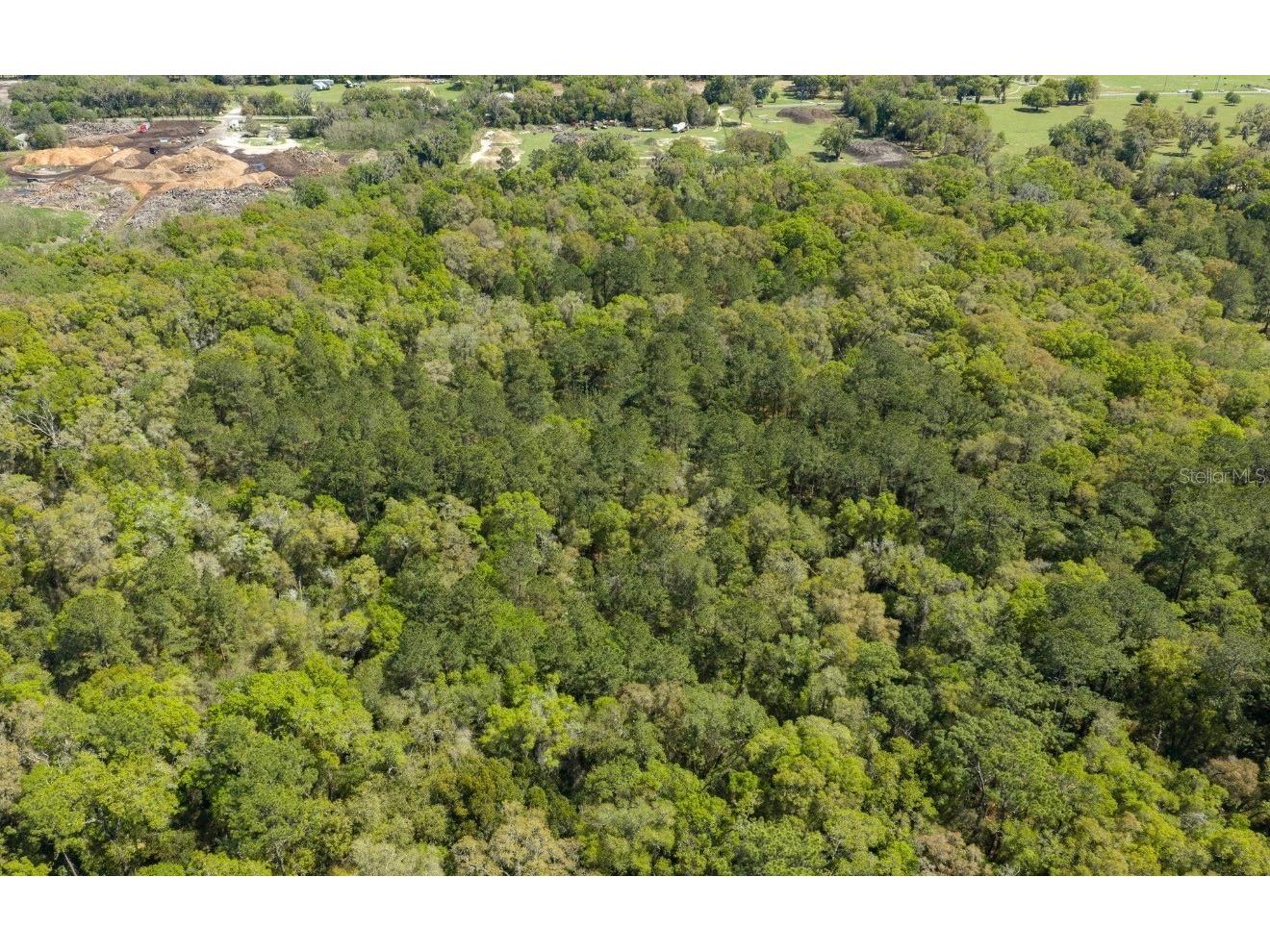 NW 38th Avenue Road Ocala FL 34482 OM723614 image2