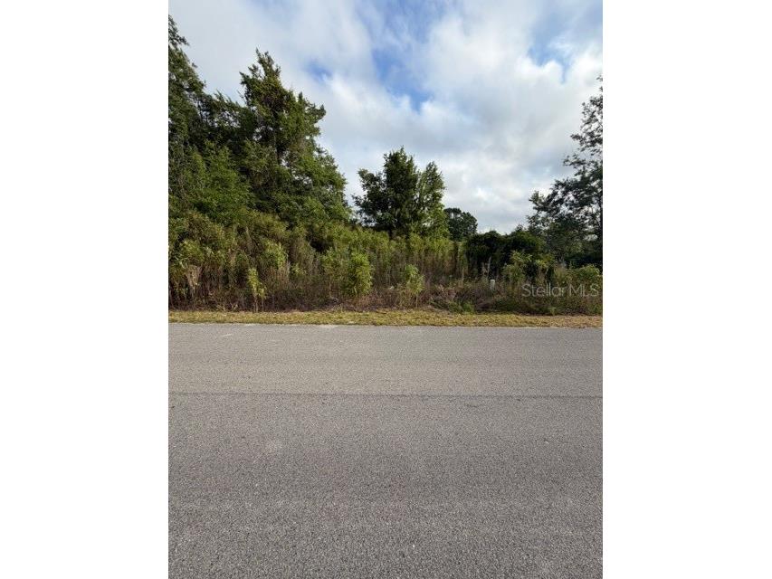 Nw 3rd Pl Ocala FL 34482 OM723365 image1