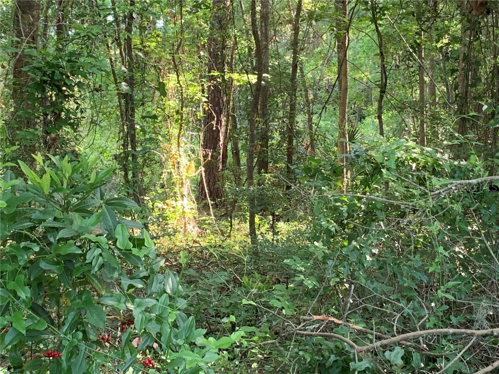 NW 44th Avenue Gainesville FL 32606 GC506215 image1