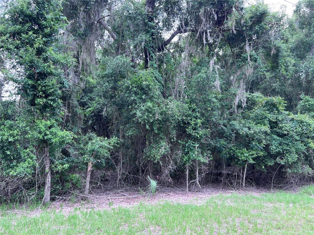 NW 45th Terrace Chiefland FL 32626 - Long Pond W7865782 image1