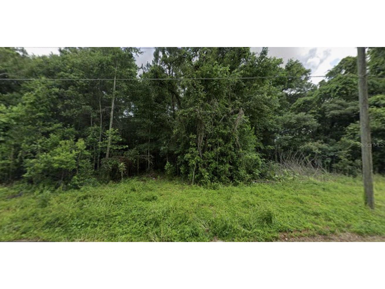 Nw 4th St Ocala FL 34482 O6392408 image7