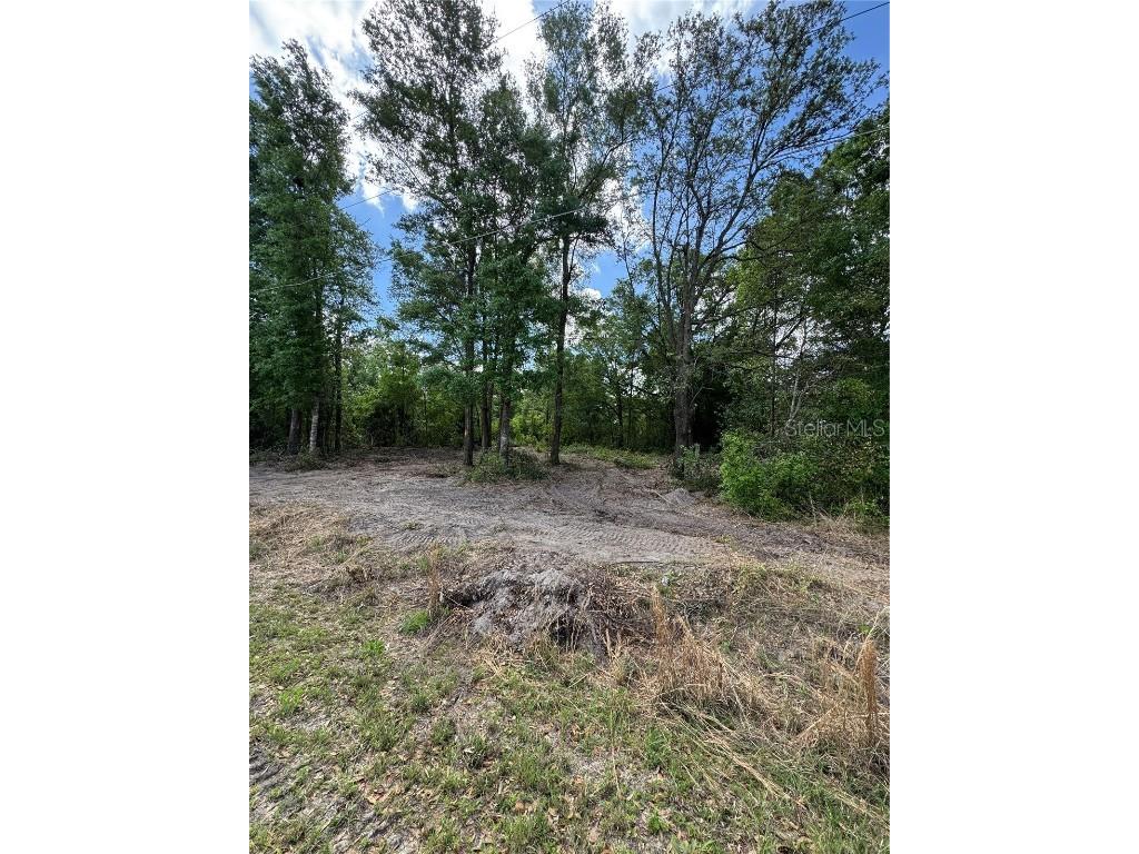 NW 4th Street Ocala FL 34482 OM699139 image16