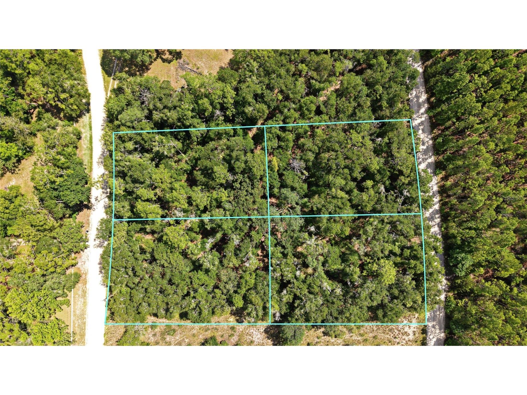 NW 50th Terrace Bell FL 32619 O6417850 image2