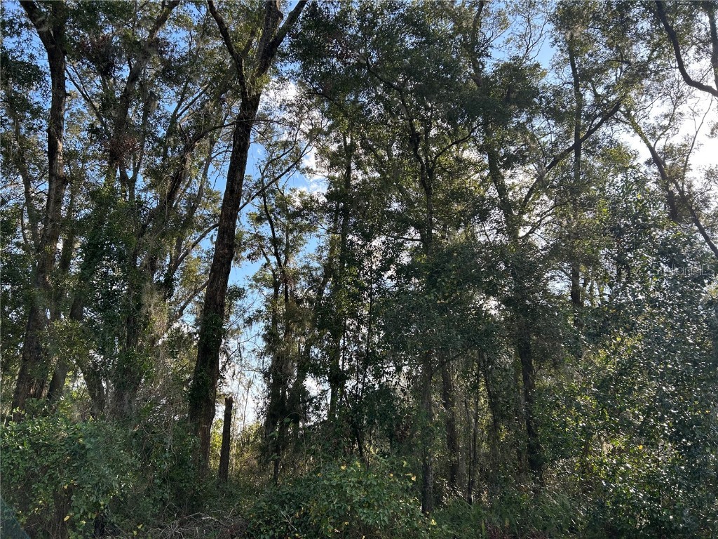 Nw 53rd Street Ocala FL 34482 S5120127 image1