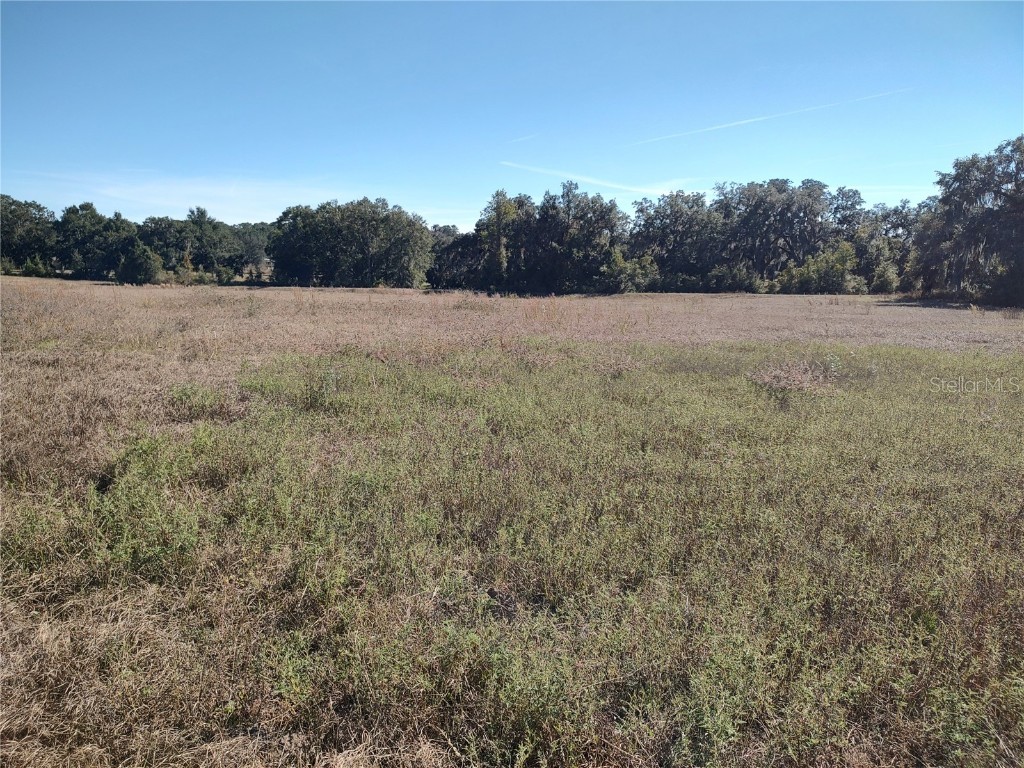 NW 54th Loop #LOT 6 Ocala FL 34482 OM713013 image4