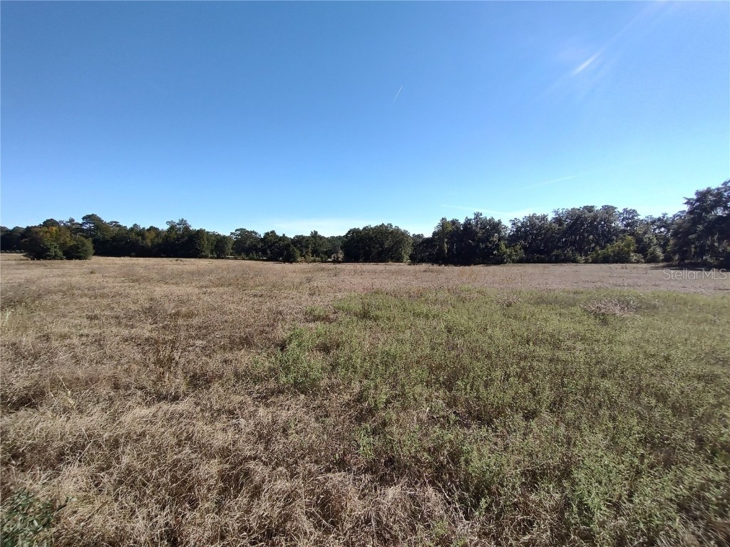 NW 54th Loop #LOT 6 Ocala FL 34482 OM713013 image5