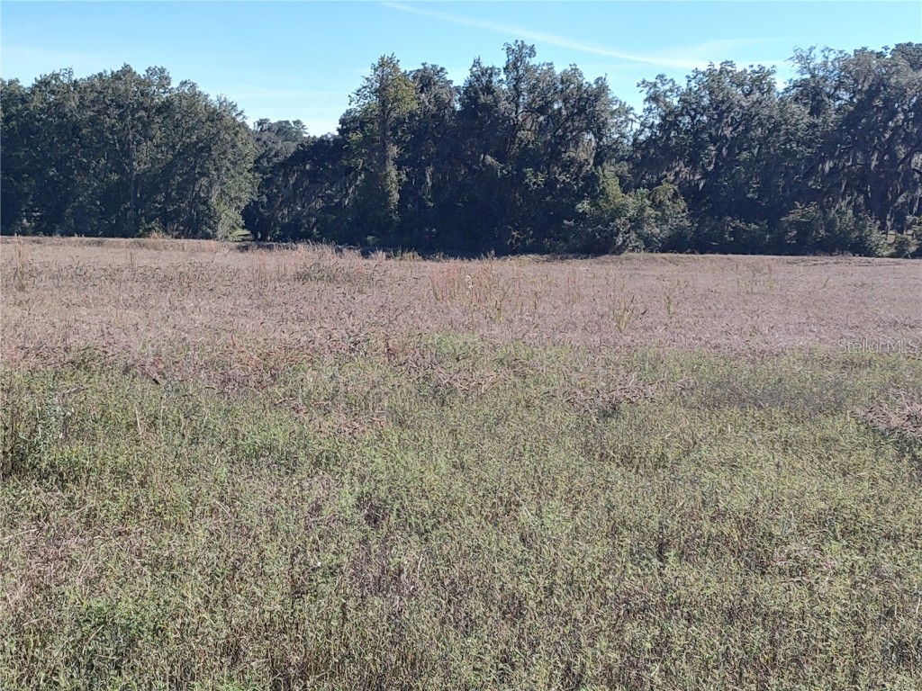 NW 54th Loop #LOT 6 Ocala FL 34482 OM713013 image6