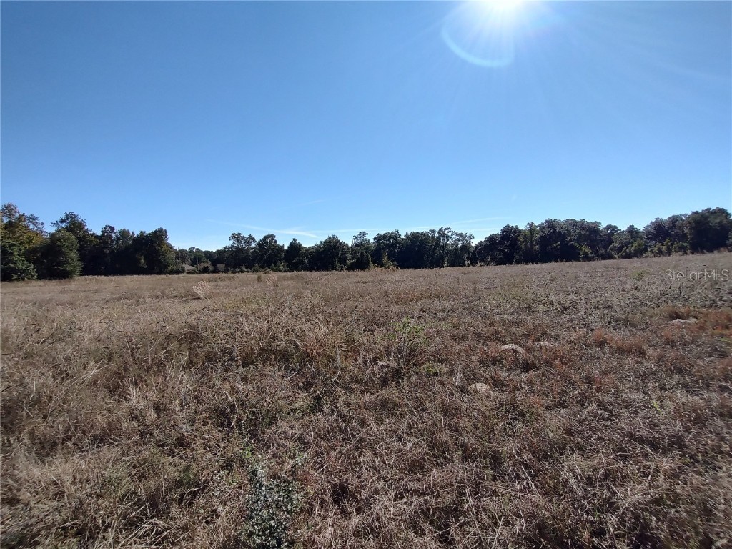 NW 54th Loop #LOT 7 Ocala FL 34482 OM713011 image10