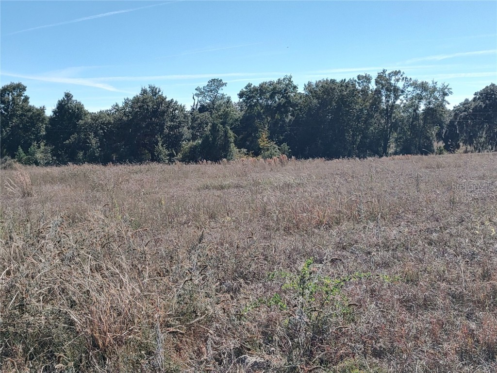 NW 54th Loop #LOT 7 Ocala FL 34482 OM713011 image11