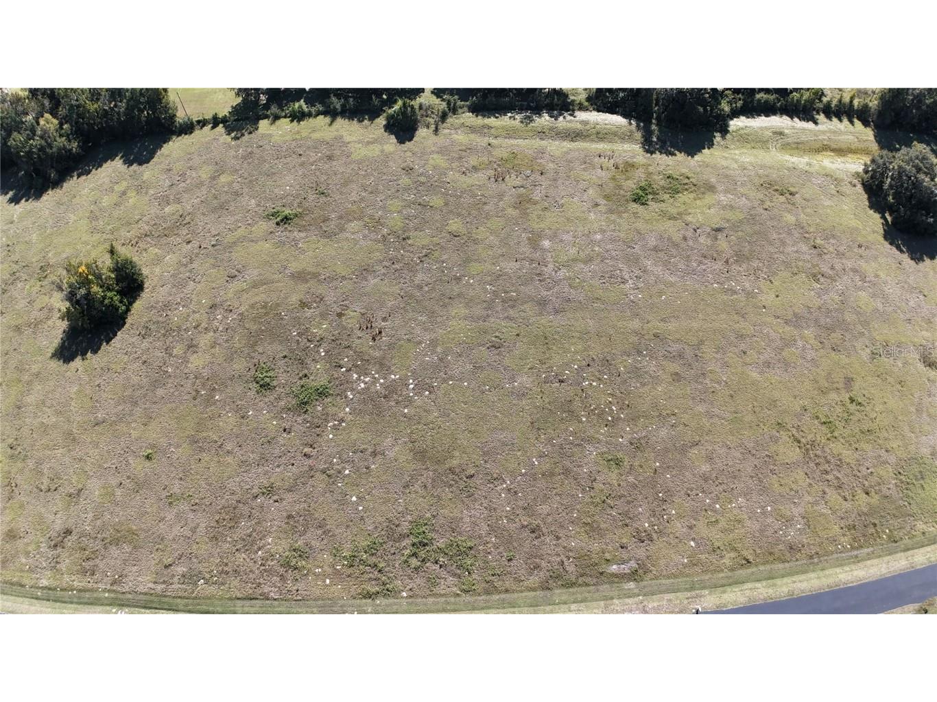 NW 54th Loop #LOT 7 Ocala FL 34482 OM713011 image3