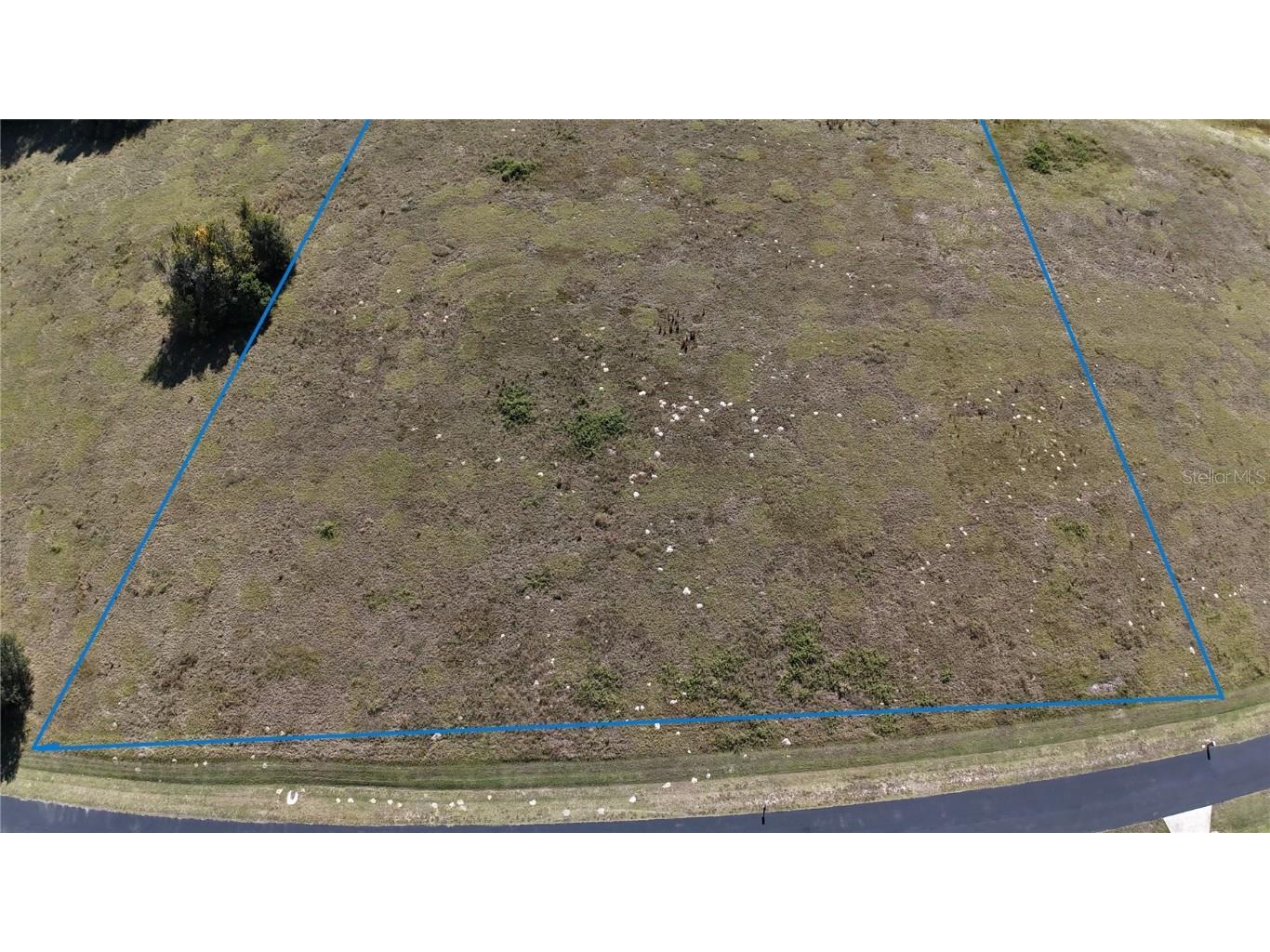 NW 54th Loop #LOT 7 Ocala FL 34482 OM713011 image4
