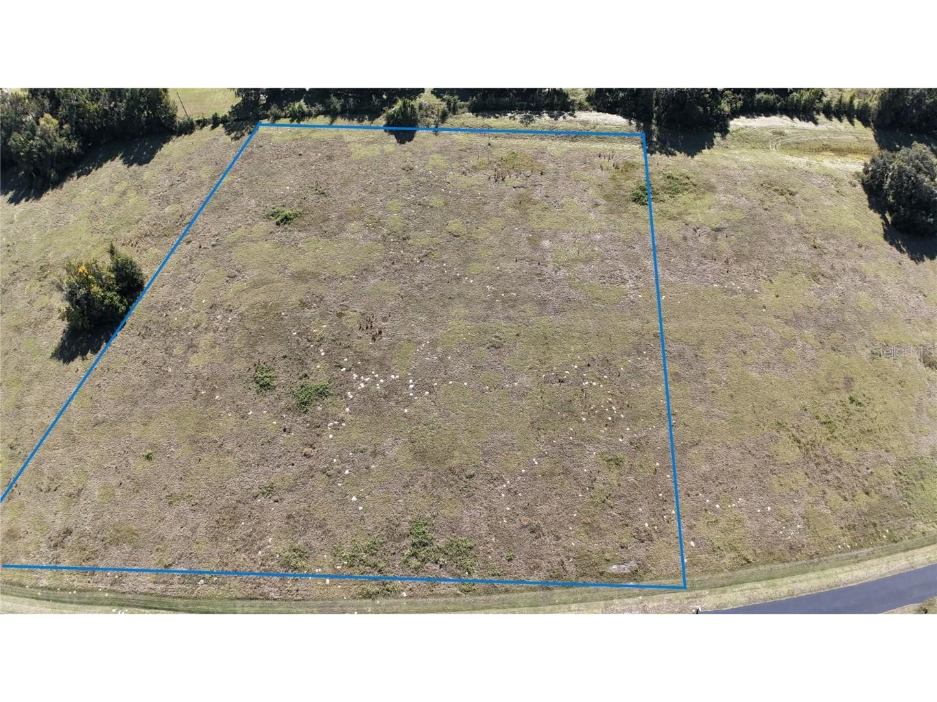 NW 54th Loop #LOT 7 Ocala FL 34482 OM713011 image5