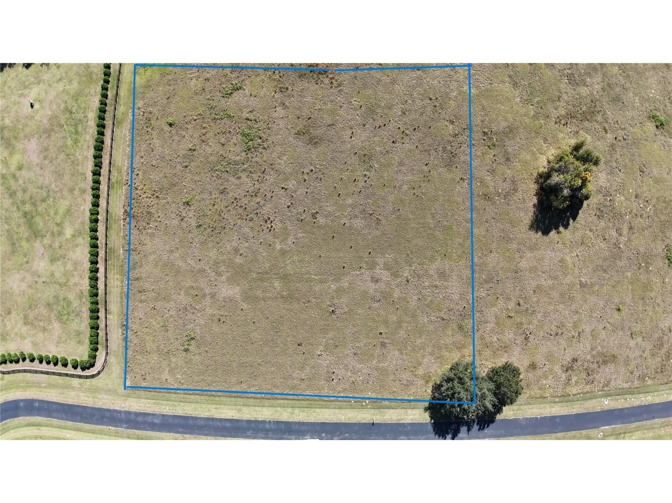 NW 54th Loop #LOT 8 Ocala FL 34482 OM713008 image5