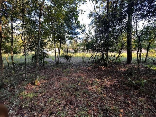 NW 55th Street Bell FL 32619 GC525336 image1