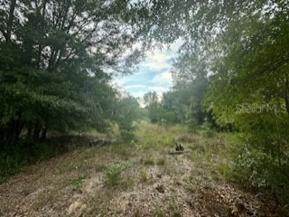 Nw 56th Court Ocala FL 34482 O6311157 image3