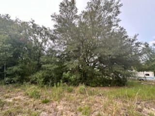 Nw 56th Court Ocala FL 34482 O6311157 image4