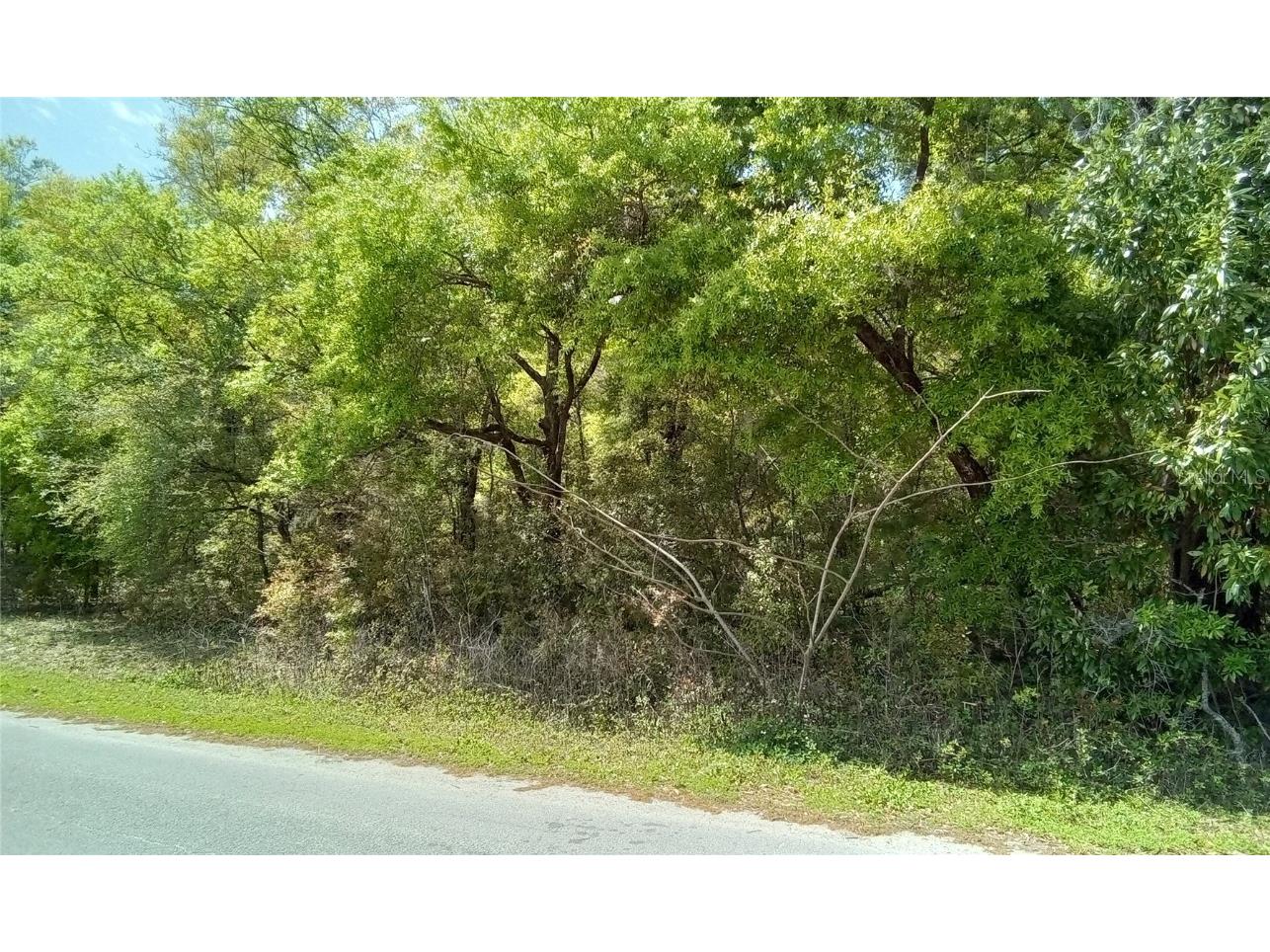 NW 56th Terrace Ocala FL 34482 OM676283 image1
