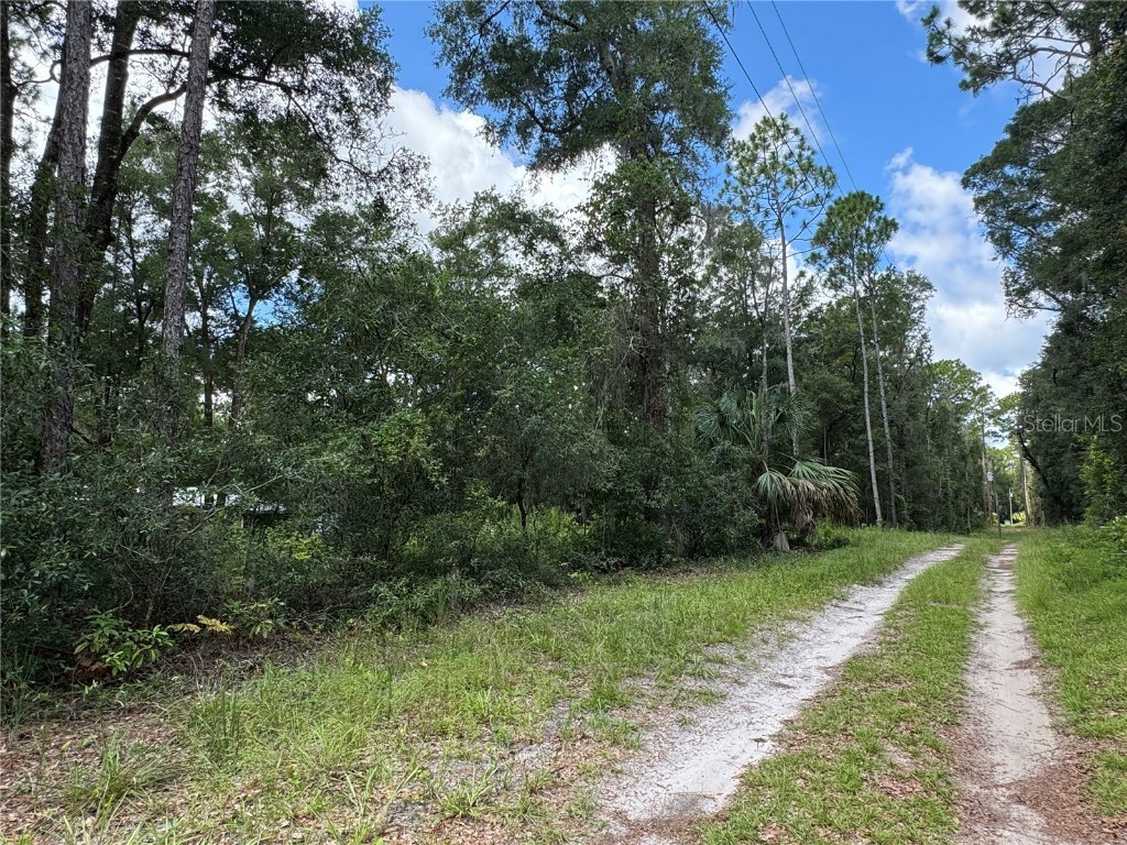 Nw 58th Place Chiefland FL 32626 G5085242 image2