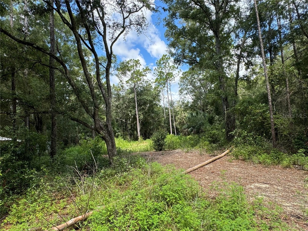 Nw 58th Place Chiefland FL 32626 G5085242 image3