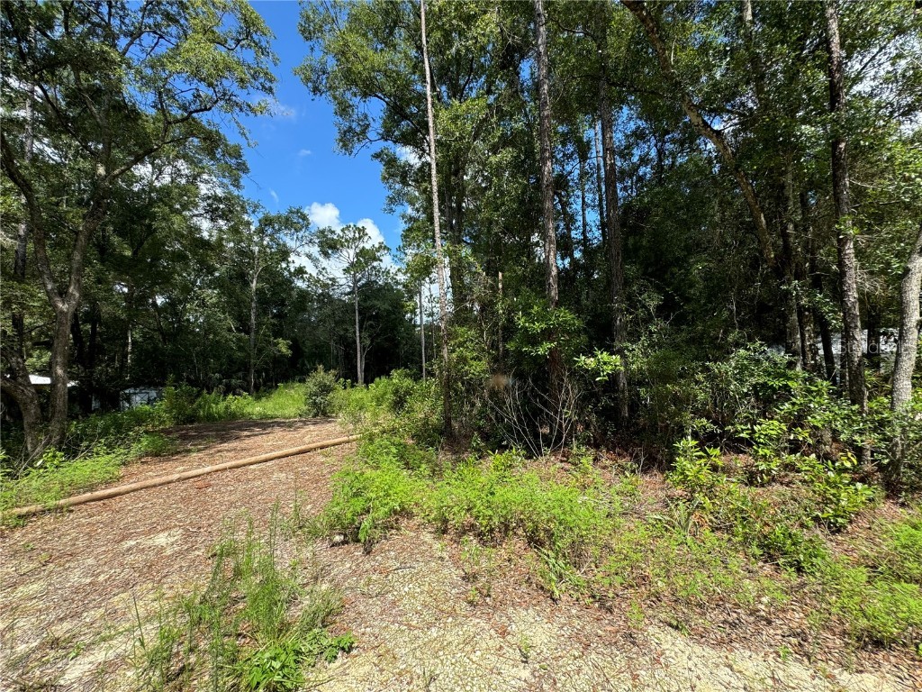 Nw 58th Place Chiefland FL 32626 G5085242 image4