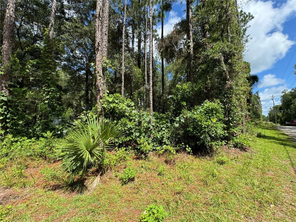 Nw 58th Place Chiefland FL 32626 G5085242 image5
