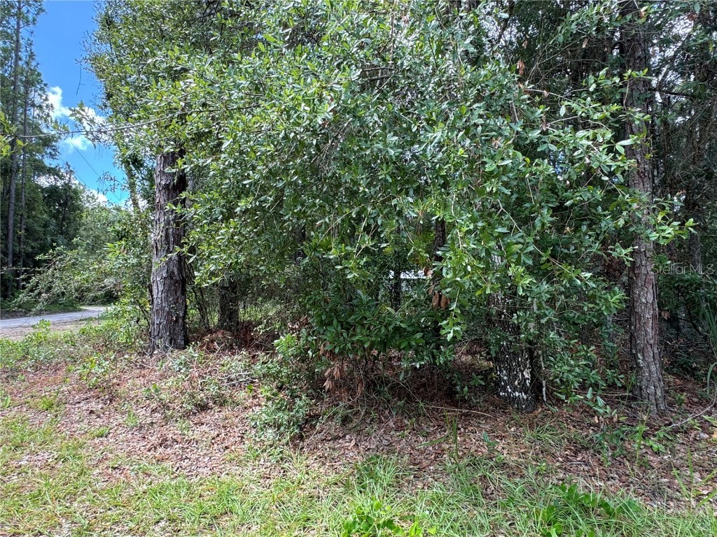 Nw 58th Place Chiefland FL 32626 G5085242 image6