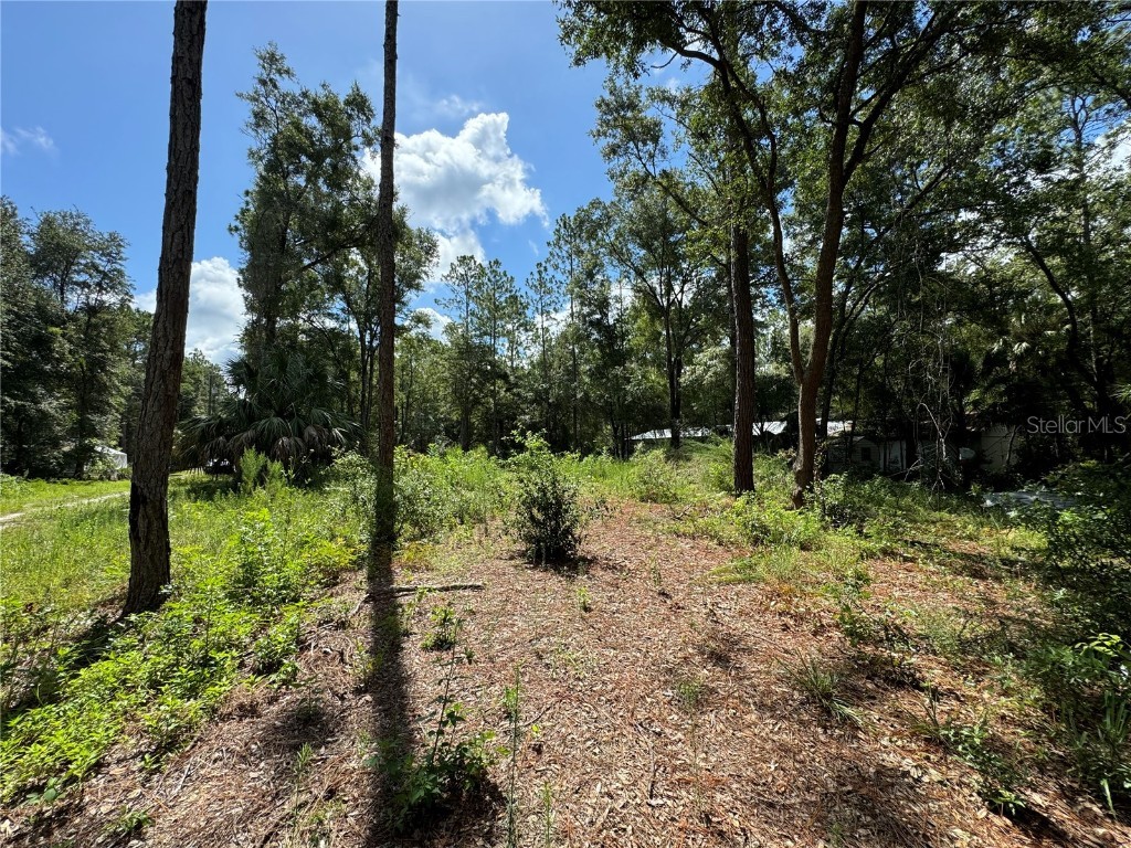 Nw 58th Place Chiefland FL 32626 G5085242 image7