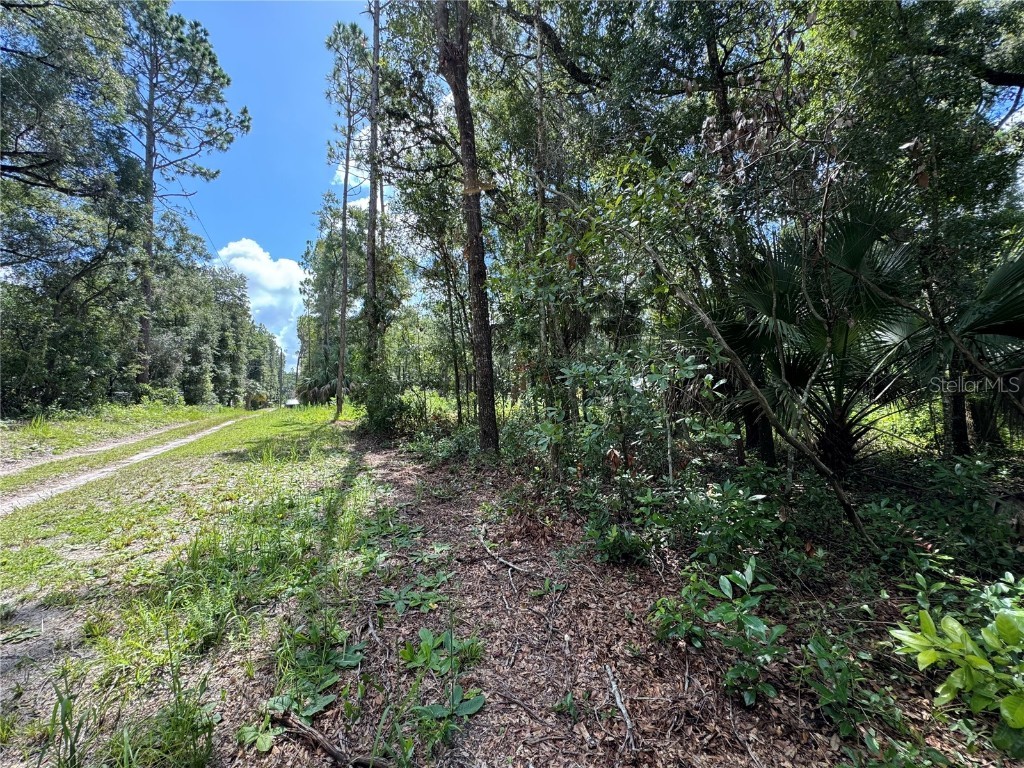Nw 58th Place Chiefland FL 32626 G5085242 image8