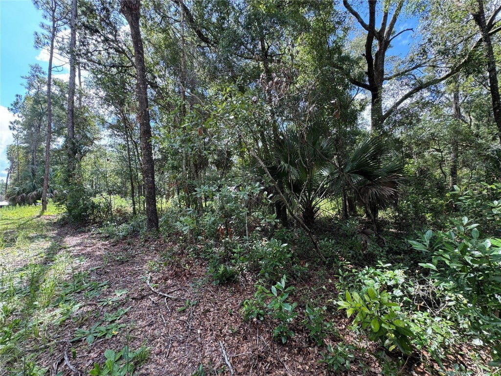 Nw 58th Place Chiefland FL 32626 G5085242 image9