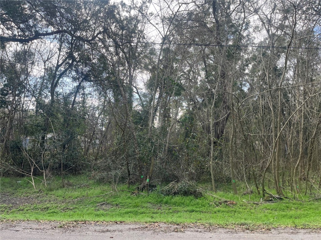 NW 65th Place Ocala FL 34482 OK225161 image1
