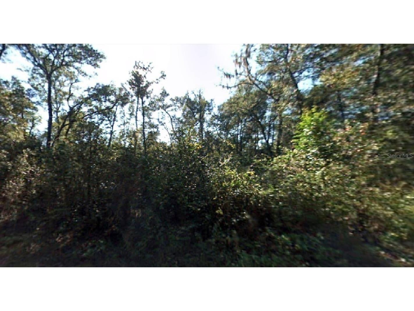 NW 66th Street Ocala FL 34475 O6121058 image1