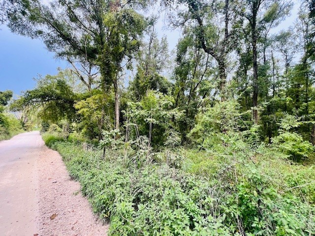 NW 67th Place Bell FL 32619 GC523785 image1